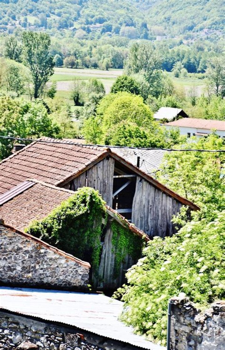 Lee Sang Eun Husband: Who is Lee Sang Eun Husband?