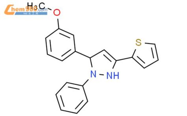 How did Jackson Taylor Cowboy die? Lockney cowboy, reality TV contestant dies in rodeo accident