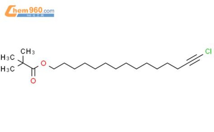 Who Is Katharina Mazepa’s girlfriend, Lenny Hochstein? Age difference and Instagram