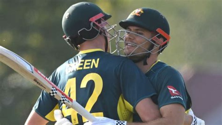 
3rd T20I: Cameron Green, Tim David blaze to fifties as Australia reach 186/7 against India 