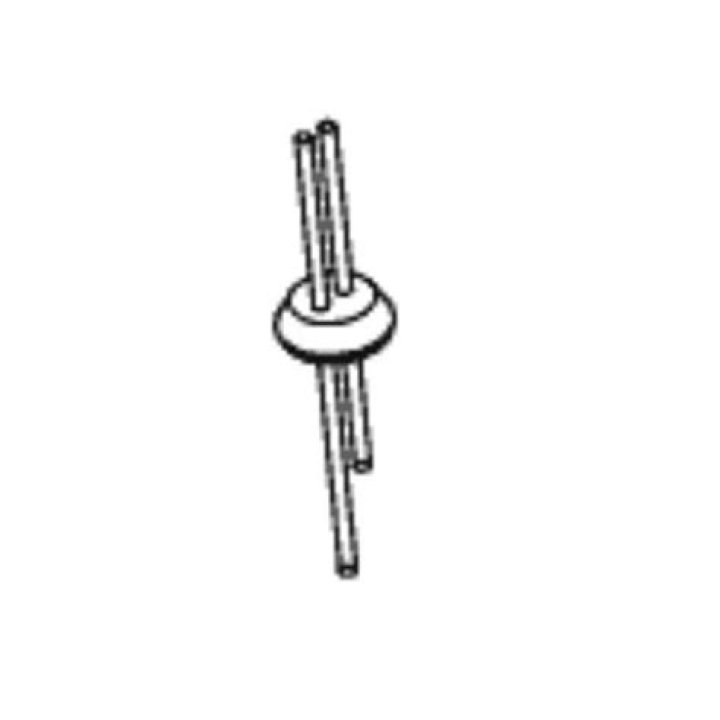 Is Trevor Etienne Related to Travis Etienne? Are Travis and Trevor Etienne Brothers? -Latest News