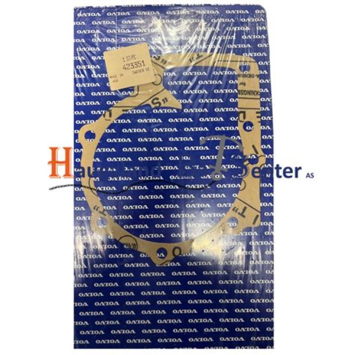 N1 Louis Trichardt Accident: Highway Closed After Fatal Truck vs Minibus Taxi Crash - News