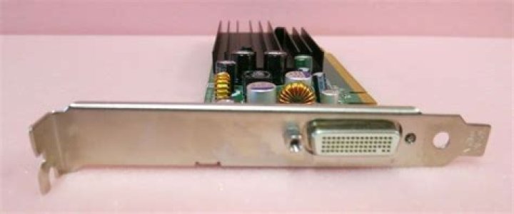 Is Fae Farm Cross-Platform? Answered - SarkariResult