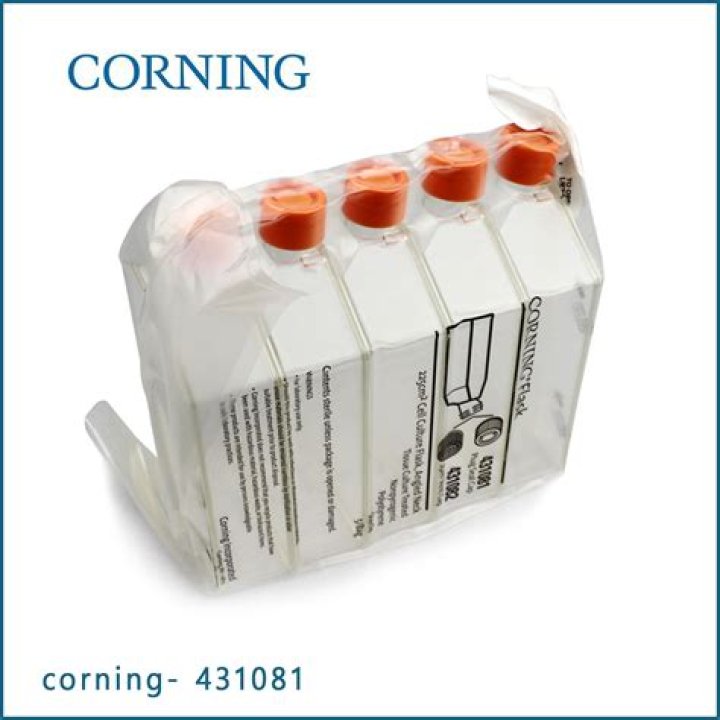 Are Adam Sandler's Children Following in His Footsteps? Get to Know Sadie and Sunny! - SarkariResult