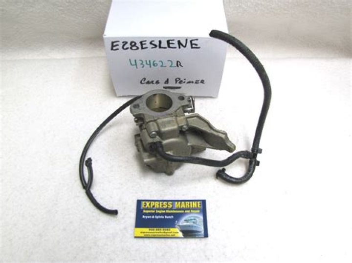 Noemi Ferre: The Love Story of Sepp Kus' Wife - SarkariResult