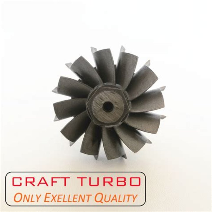 Corey Lewandowski's Recent Controversy and His Wife - SarkariResult