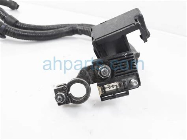 Coco And Grace Fight Video Viral On Twitter Tiktok : Why Did Tiktoker Coco Bliss And Grace Fight? - SarkariResult