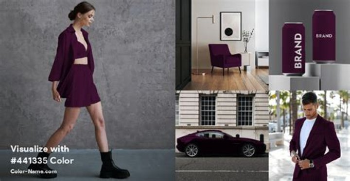 William McKinley: Unveiling the Life of the 25th U.S. President - SarkariResult