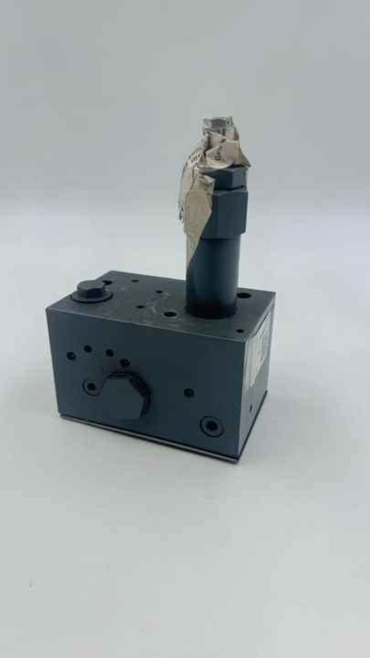 Samantha Lyne's Age and Journey: A Dive into Her Life and Accomplishments - SarkariResult