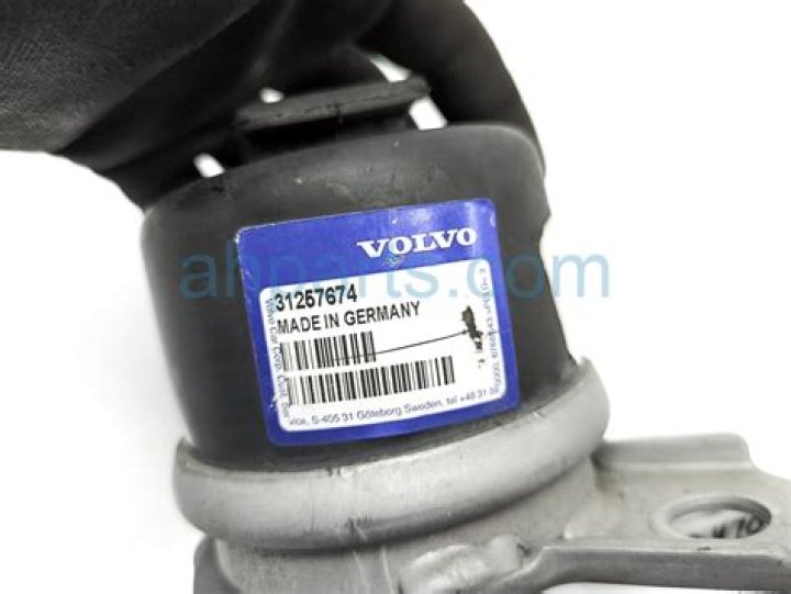 Betty Lynn Net Worth : Details About Home, Income, Movie, Career, Assets, Age - SarkariResult