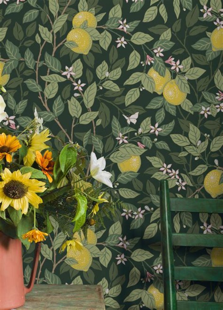 C. J. Cron Net Worth: Details About Baseball, Career, Age, Assets, Income - SarkariResult