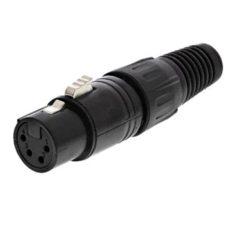 Kelsea Ballerini's Net Worth in 2023: From Chart-Topping Hits to Financial Success – How Does She Compare? - SarkariResult