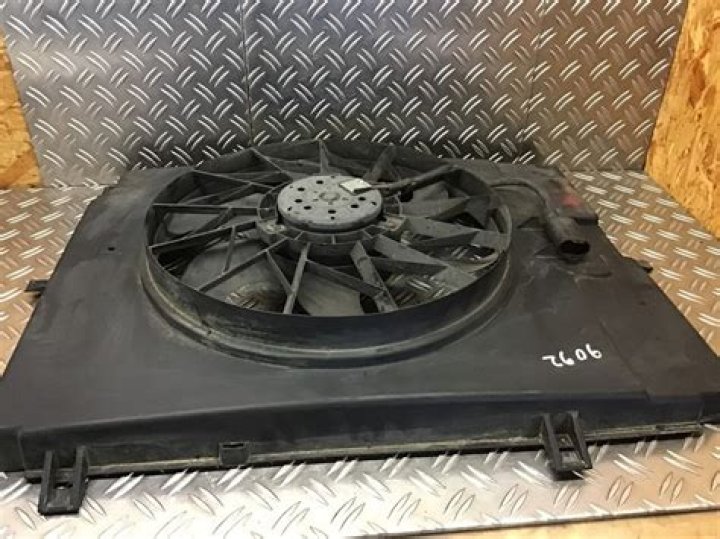 Alice Walton Net Worth: Details About Age, Income, Business, Career - SarkariResult