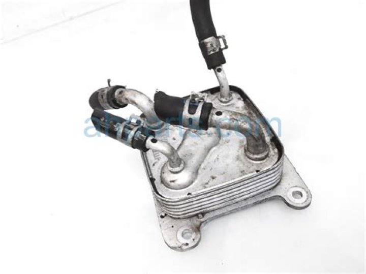 Toby Kebbell Net Worth: Details About Gf, Income, Movies, Career, Car, Age - SarkariResult