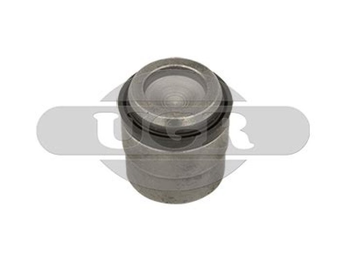 Nemanja Vidic Net Worth: Details About Football, Income, Age, Gf, Career - SarkariResult