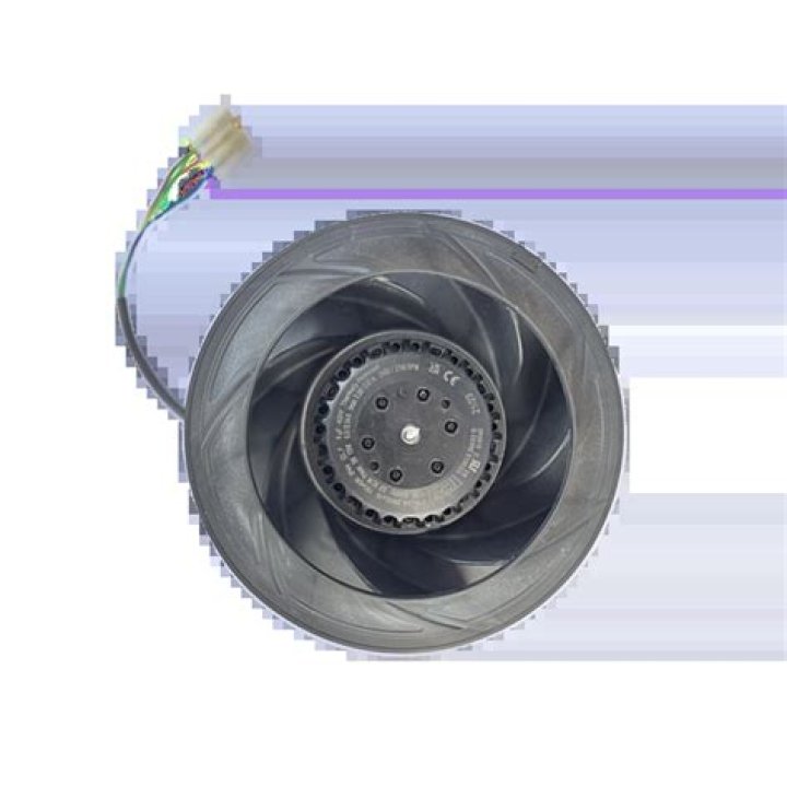 Jamie Hyneman Net Worth: Details About Age, Income, Business, Career - SarkariResult