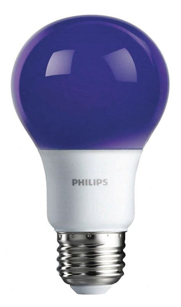 John Melendez Net Worth: Details About Income, Home, Age, Assets, Career - SarkariResult