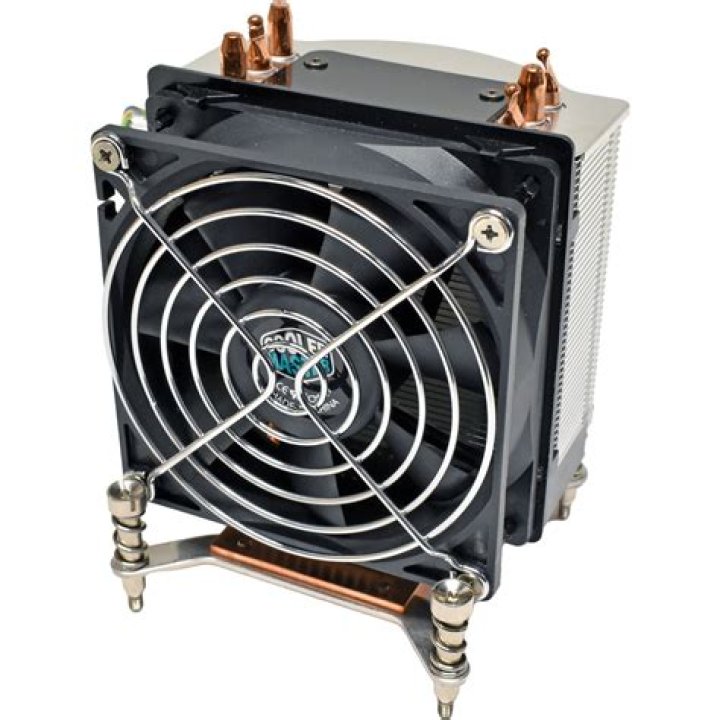 Tony Gonzalez Net Worth: Details About NFL, Earnings, Wife, Age, Career - SarkariResult