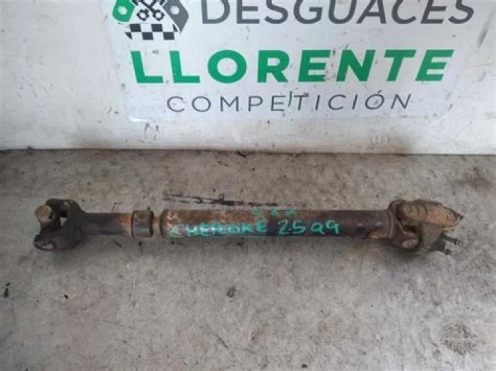 Izabel Goulart Net Worth: Details About Home, Career, Modeling, Income - SarkariResult