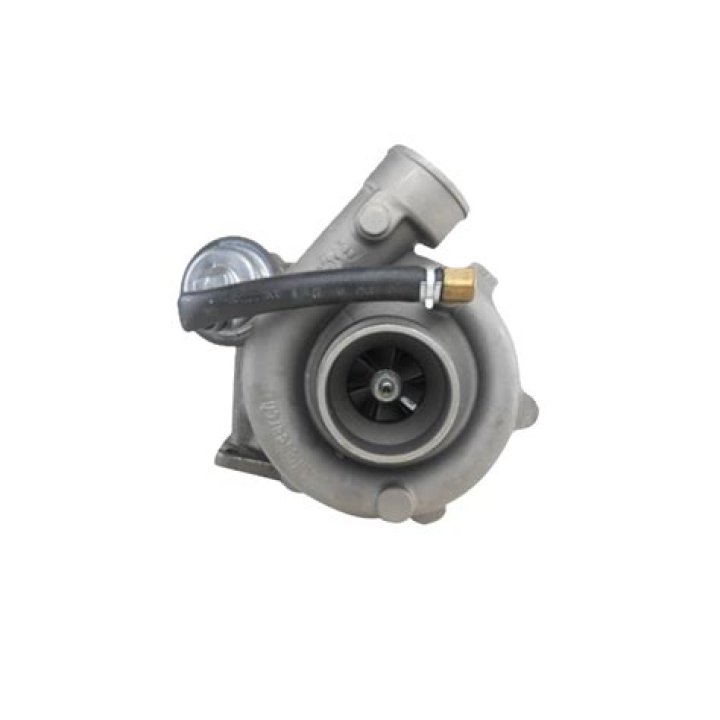 Do Steve Buscemi's Children Relive His Iconic Moments? - SarkariResult