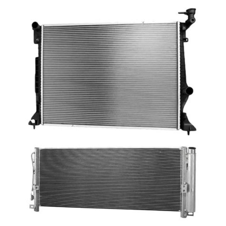 Dennis Bergkamp Net Worth: Details About Daughter, Position, Stats, Wife - SarkariResult