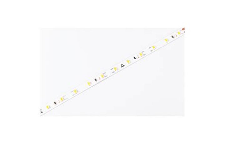 William Shatner Net Worth: Details About Wife, Earnings, Movie, Career - SarkariResult