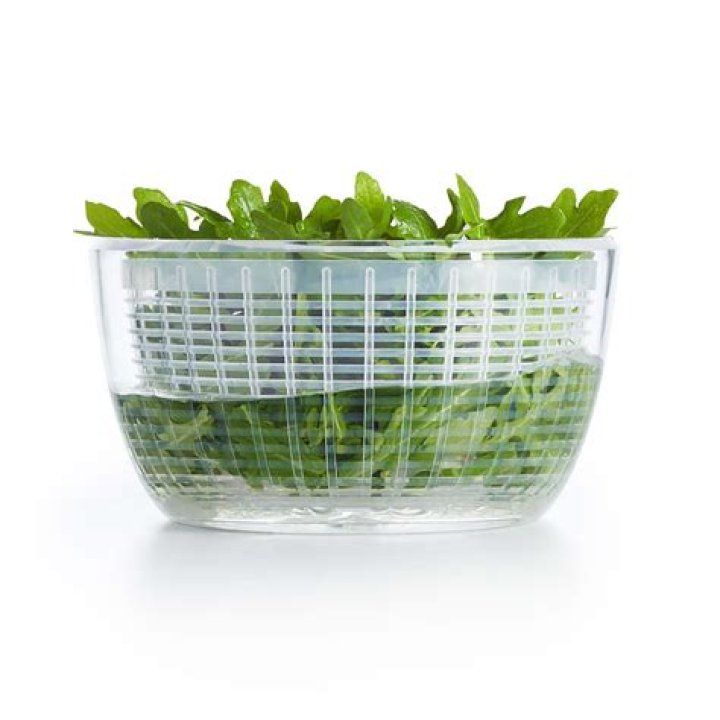 Cara Delevingne Net Worth: Details About Age, Career, Modelling, Income - SarkariResult