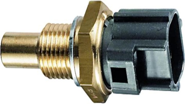 Sebastian Korda Net Worth: Details About Tennis, Income, Gf, Age, Career - SarkariResult