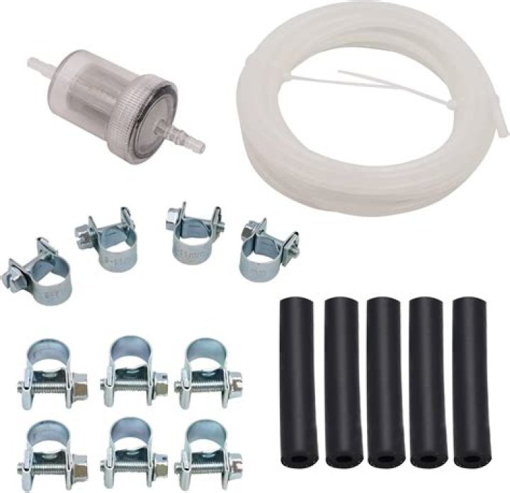 Jaimie Alexander Net Worth: Details About Movie, Career, Car, Age, Income - SarkariResult