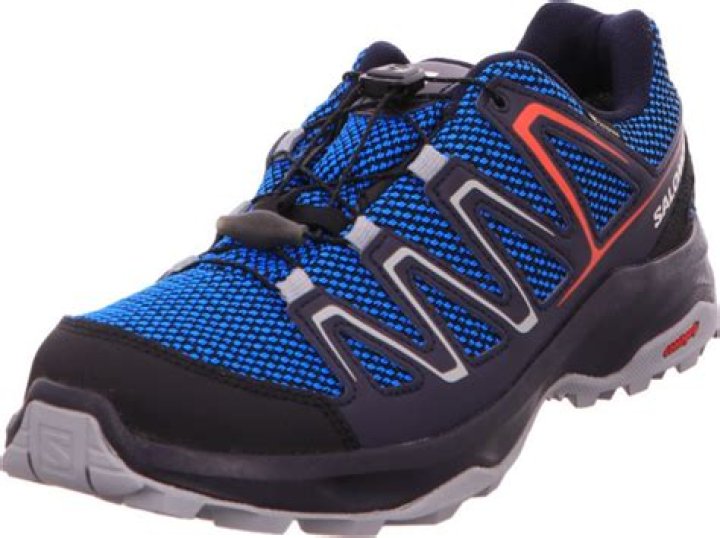 Dustin Moskovitz Net Worth: Details About Career, Income, Investments - SarkariResult