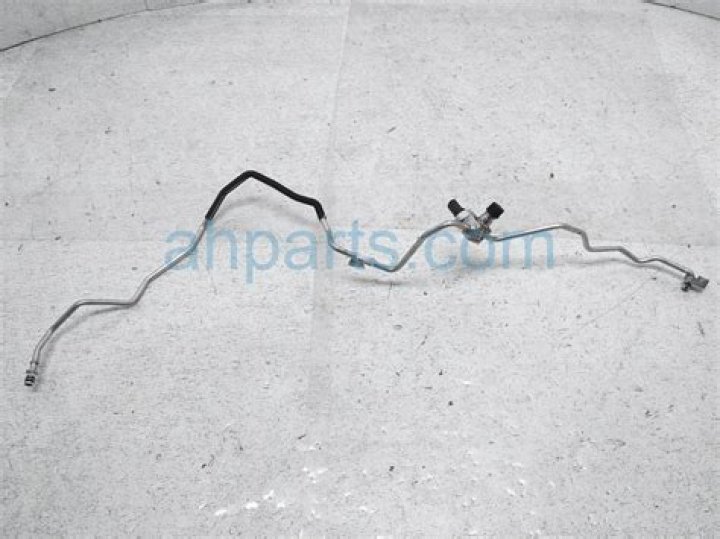 Jennifer Coolidge Net Worth: Details About Age, Career, Film, Income - SarkariResult