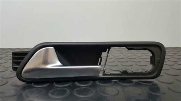 Alexandra Daddario Net Worth: Details About Film, Income, Bf, Age, Career - SarkariResult