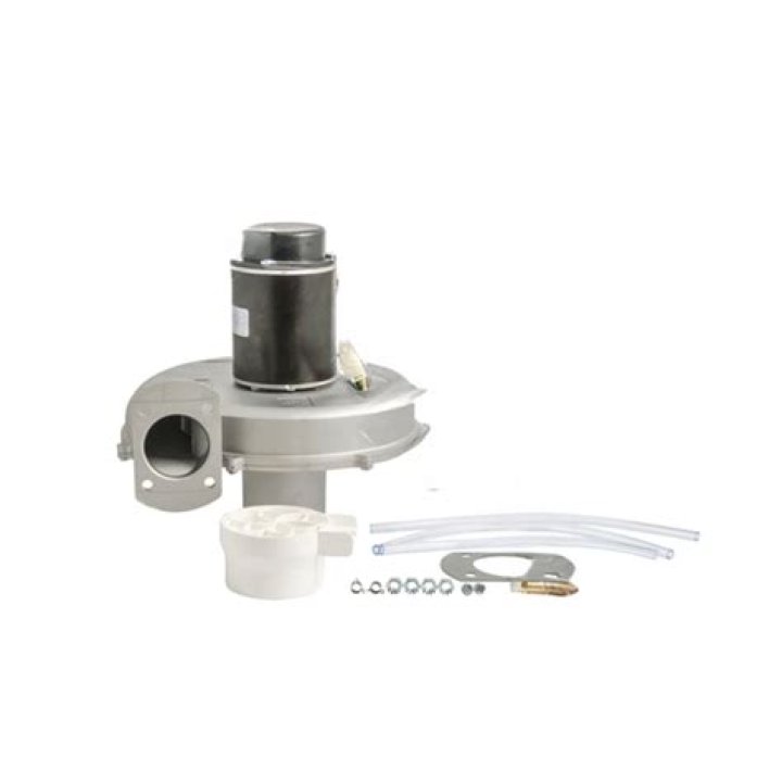 Mandy Moore Ethnicity : Biography, Net worth, Age, Family & More details - SarkariResult