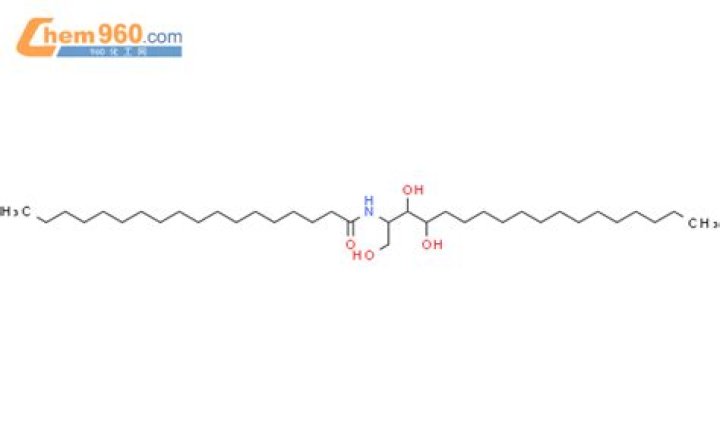 Nle Choppa Kids : How Many Kids Nle Choppa Have? - SarkariResult