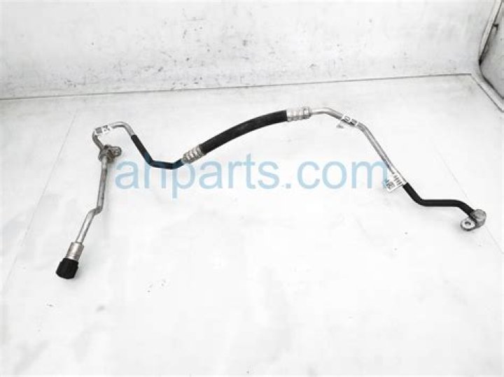 Queen Rania Net Worth, Husband, Age, Children, Height, Religion, Wedding - SarkariResult