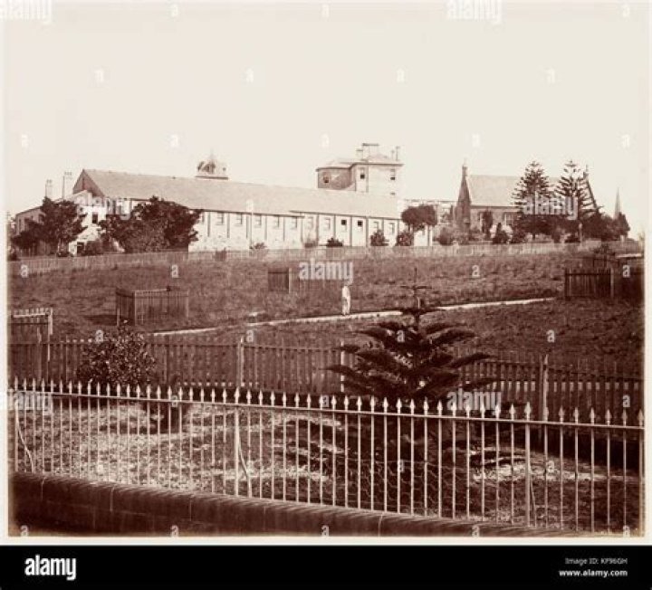 Max Fahnlander Obituary & Cause Of Death : What Happened To Max Fahnlander? - SarkariResult