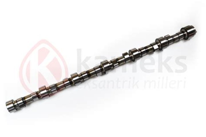 Arnold Diaz's Wife Shawn : How Many Children They Have ? - SarkariResult