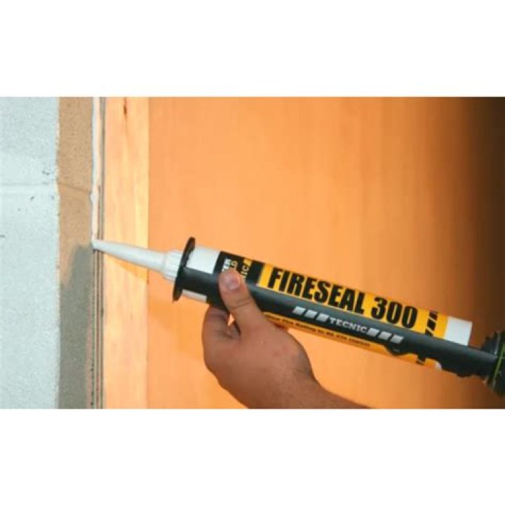 What Led to Lisa Robin Kelly's Passing? Lisa Robin Kelly's Demise and Age at the Time - SarkariResult