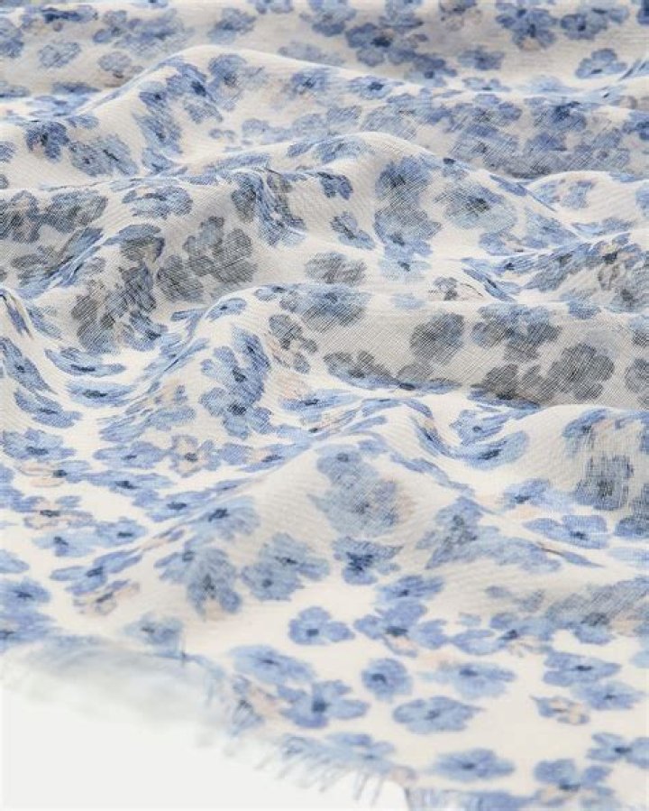 Roger Federer Ethnicity : Biography, Net worth, Age, Family & More detail - SarkariResult