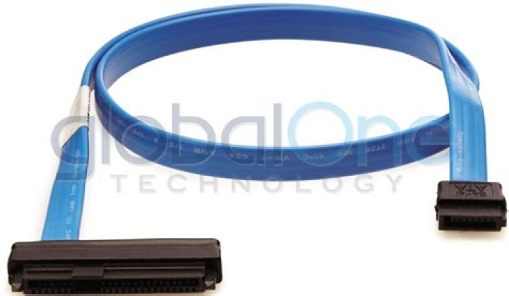 Lost Colony of Roanoke: Know All About Mystery of Disappearance of The Lost Colony of Roanoke - SarkariResult