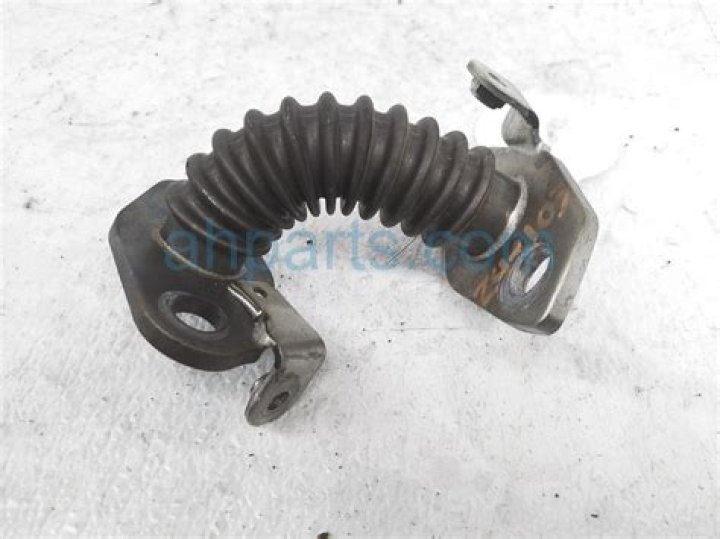 Scavengers Reign Season 2 Release Date : Cast, Recap, Review, Spoilers, Streaming, Schedule & Where To Watch? - SarkariResult