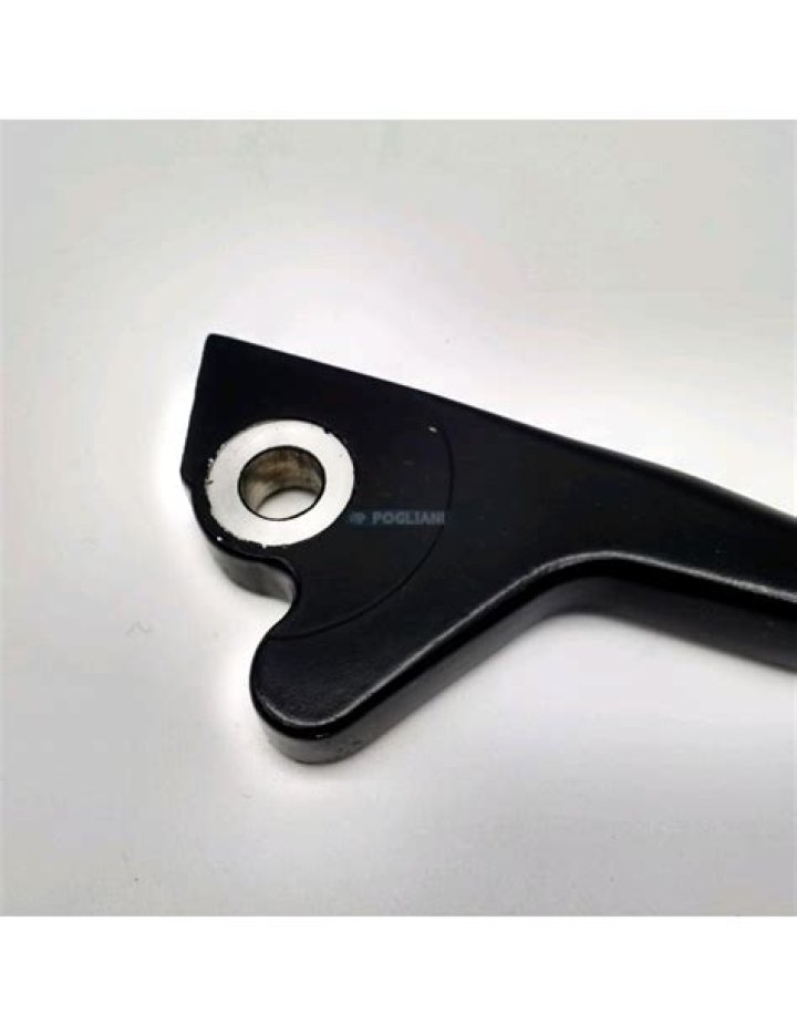 Who is Asad Abukhalil? A California State University Professor Claims Israel Doesn't Desire the Return of Hostages - SarkariResult