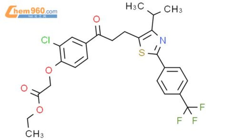 Michael Essien's Current Status: Is He Alive? Exploring Where Michael Essien is Now - SarkariResult