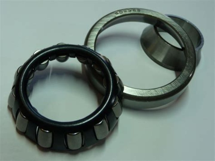 What is the Meaning of NFN on TikTok? Other Interpretations for NFN - SarkariResult