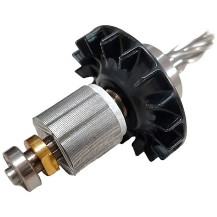 Elvis Presley's Legacy: Understanding the Connection – Is Riley Keough Related to Elvis Presley, and How? - SarkariResult