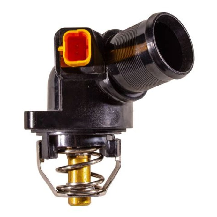 Charissa Thompson's Boyfriend in 2023: Unveiling the Details About Steven Cundari - SarkariResult