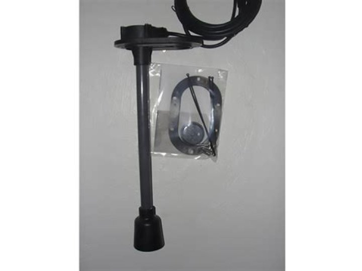 Who Is Stavros Halkias Girlfriend? Is He Dating Someone Or Not? | Who Is Rachel Sennott? - SarkariResult