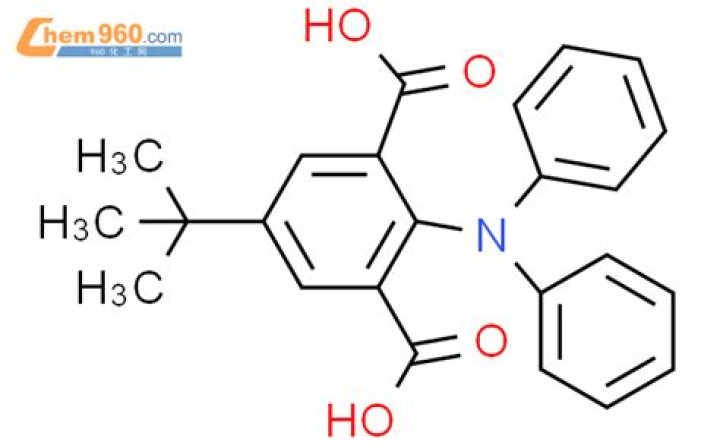 Top Places To Watch The Best Christmas Lights In New York City: Best Places To Go - SarkariResult