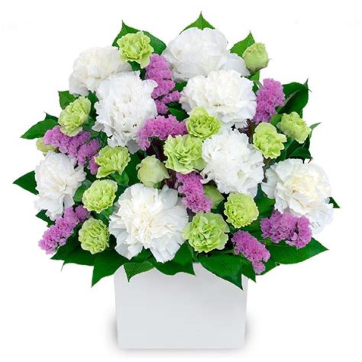 Zack Leffler's Car Crash: What Happened To Him? - SarkariResult