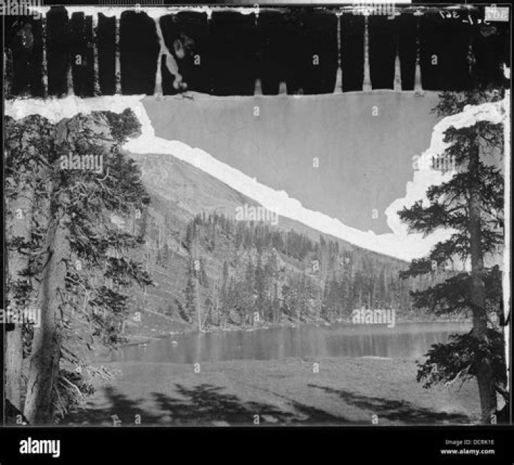 Trouble with Fortnite Festival Main Stage: Why is it Not Working and How to Fix It - SarkariResult